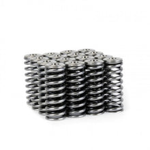 Load image into Gallery viewer, Skunk2 Alpha Series Honda/Acura D Series Valve Spring and Titanium Retainer Kit Valve Springs, Retainers Skunk2 Racing
