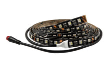 Load image into Gallery viewer, Diode Dynamics RGBW 200cm Strip SMD120 M8 Light Strip LED Diode Dynamics   
