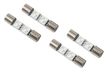 Load image into Gallery viewer, Diode Dynamics 28mm SMF2 LED Bulb - Red Set of 4 Bulbs Diode Dynamics   
