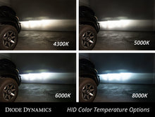 Load image into Gallery viewer, Diode Dynamics HID Bulb D2R 6000K (Pair) Bulbs Diode Dynamics   
