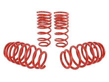 Load image into Gallery viewer, Skunk2 06-09 Honda Civic Lowering Springs (2.25in - 2.00in.) (Set of 4) Lowering Springs Skunk2 Racing
