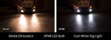 Load image into Gallery viewer, Diode Dynamics H8 HP48 LED - Cool - White (Pair) Bulbs Diode Dynamics   
