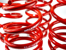 Load image into Gallery viewer, Skunk2 12 Honda Civic Lowering Springs (2.25 - 2.00in) (Set of 4) Lowering Springs Skunk2 Racing
