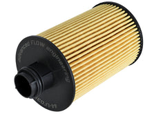 Load image into Gallery viewer, Pro GUARD HD Oil Filter (4 Pack) RAM 1500 EcoDiesel 14-16 V6-3.0L (td) Oil Filters aFe
