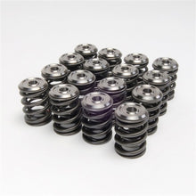 Load image into Gallery viewer, Skunk2 Alpha Series Honda/Acura K Series Valve Spring and Titanium Retainer Kit Valve Springs, Retainers Skunk2 Racing
