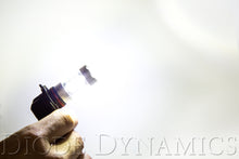 Load image into Gallery viewer, Diode Dynamics 9005 XP80 LED - Cool - White (Pair) Bulbs Diode Dynamics   
