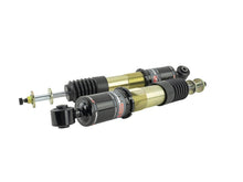 Load image into Gallery viewer, Skunk2 14-15 Honda Civic Pro ST Coilovers Coilovers Skunk2 Racing
