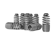 Load image into Gallery viewer, Skunk2 Honda/Acura VTEC B Series Spring Type Lost Motion Assembly Kit Valve Springs, Retainers Skunk2 Racing
