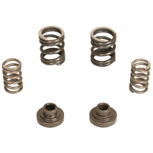 Load image into Gallery viewer, BD Diesel Governor Spring Kit 3000rpm - 1994-1998 Dodge 12-valve/P7100 Pump Injection Pump Components BD Diesel
