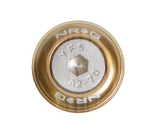 Load image into Gallery viewer, NRG Fender Washer Kit w/Rivets For Metal (Titanium) - Set of 10 Hardware Kits - Other NRG
