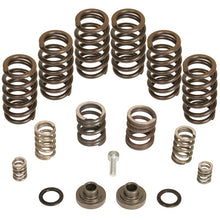 Load image into Gallery viewer, BD Diesel Governor Spring Kit 4000rpm - 1994-1998 Dodge 12-valve/P7100 Pump Injection Pump Components BD Diesel
