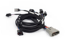 Load image into Gallery viewer, Haltech NEXUS Rebel LS Multec 2 Injector Sub-Harness (Plug-n-Play w/HT-186500) Wiring Harnesses Haltech   
