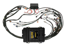 Load image into Gallery viewer, Haltech Elite 2500 Terminated Harness ECU Kit w/ EV1 Injector Programmers &amp; Tuners Haltech
