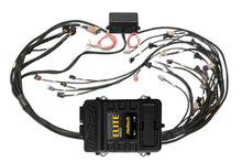 Load image into Gallery viewer, Haltech Elite 2500 Terminated Harness ECU Kit w/ EV1 Injector Programmers &amp; Tuners Haltech   
