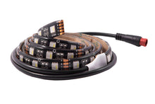 Load image into Gallery viewer, Diode Dynamics RGBW 100cm Strip SMD60 M8 Light Strip LED Diode Dynamics   
