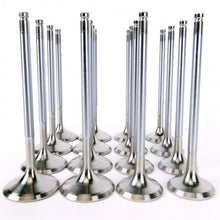 Load image into Gallery viewer, Skunk2 Alpha Series Honda/Acura Stock Size H Series Valve Set (Standard Compression) Valves Skunk2 Racing
