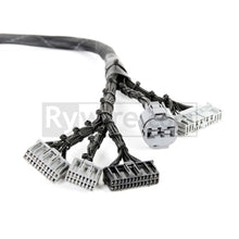 Load image into Gallery viewer, Rywire Honda B-Series OBD1 Tuck Budget Eng Harness w/OBD1 Dist/Inj/Alt/92-95 ECU Plugs (Adapter Req) Wiring Harnesses Rywire
