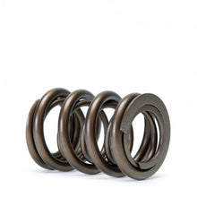 Load image into Gallery viewer, Skunk2 Tuner Series Honda/Acura (B16A/ B17A/ B18C) DOHC VTEC Alpha Valve Spring Set (Dual Springs) Valve Springs, Retainers Skunk2 Racing
