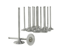 Load image into Gallery viewer, Skunk2 Ultra Series Honda/Acura Stock Size K Series VTEC Valve Set (STD Compression) Valves Skunk2 Racing
