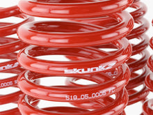 Load image into Gallery viewer, Skunk2 94-01 Acura Integra Lowering Springs (2.50in - 2.25in.) (Set of 4) Lowering Springs Skunk2 Racing
