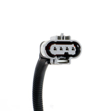 Load image into Gallery viewer, BBK 16-20 GM Camaro 6.2L SS Manual Trans O2 Sensor Wire Harness Extensions (Rear) Gauge Components BBK
