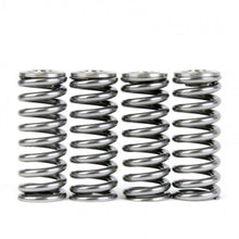 Load image into Gallery viewer, Skunk2 Alpha Series Honda/Acura D Series Valve Spring and Titanium Retainer Kit Valve Springs, Retainers Skunk2 Racing
