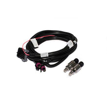 Load image into Gallery viewer, FAST Harness FAST Fuel And Oil Wiring Harnesses FAST
