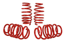 Load image into Gallery viewer, Skunk2 12 Honda Civic Lowering Springs (2.25 - 2.00in) (Set of 4) Lowering Springs Skunk2 Racing
