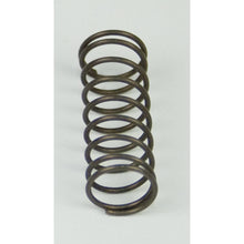 Load image into Gallery viewer, BD Diesel Flow-MaX Pump Pressure Spring - 18psi Fuel Pumps BD Diesel
