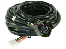 Load image into Gallery viewer, AEM Replacement Sensor Harness for Digital Wideband Gauge (30-4110) Wiring Harnesses AEM
