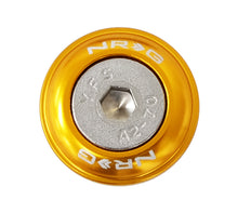 Load image into Gallery viewer, NRG Fender Washer Kit w/Rivets For Plastic (Rose Gold) - Set of 10 Hardware Kits - Other NRG
