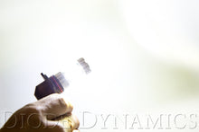 Load image into Gallery viewer, Diode Dynamics 9006 XP80 LED - Cool - White (Pair) Bulbs Diode Dynamics   
