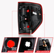Load image into Gallery viewer, ANZO 2009-2014 Ford F-150 Euro Taillight Red/Clear (W/O Bulb) Tail Lights ANZO
