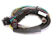 Load image into Gallery viewer, Haltech Elite 2500 Basic Universal Wire-In Harness ECU Kit Programmers &amp; Tuners Haltech   

