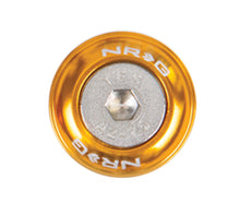 Load image into Gallery viewer, NRG Fender Washer Kit w/Rivets For Metal (Rose Gold) - Set of 10 Hardware Kits - Other NRG

