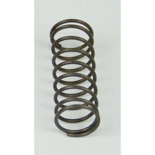 Load image into Gallery viewer, BD Diesel Flow-MaX Pump Pressure Spring - 18psi Fuel Pumps BD Diesel
