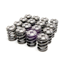 Load image into Gallery viewer, Skunk2 Alpha Series Honda/Acura K Series Valve Spring and Titanium Retainer Kit Valve Springs, Retainers Skunk2 Racing
