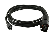Load image into Gallery viewer, Innovate Sensor Cable: 3 ft. (LM-2 MTX-L) Gauge Components Innovate Motorsports
