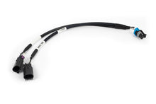 Load image into Gallery viewer, Haltech NEXUS Rebel LS Gen III Knock Sensor Adaptor (Plug-n-Play w/HT-186500) Wiring Connectors Haltech   
