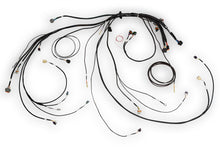 Load image into Gallery viewer, Haltech NEXUS Rebel LS Terminated Harness for ECU Wiring Harnesses Haltech   
