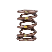 Load image into Gallery viewer, Skunk2 Pro Series Honda/Acura B-Series VTEC XP Valve Spring Set (Dual Springs) Valve Springs, Retainers Skunk2 Racing
