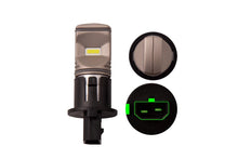 Load image into Gallery viewer, Diode Dynamics PH16W HP60 - Cool - White LED Bulbs (Pair) Bulbs Diode Dynamics   
