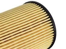 Load image into Gallery viewer, Pro GUARD HD Oil Filter RAM 1500 EcoDiesel 14-16 V6-3.0L (td) Oil Filters aFe
