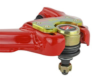 Load image into Gallery viewer, Skunk2 Pro Series 03-06 Acura TSX/04-08 TL Adjustable Front Camber Kits Camber Kits Skunk2 Racing
