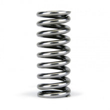 Load image into Gallery viewer, Skunk2 Alpha Series Honda D Series VTEC Valve Spring Set Valve Springs, Retainers Skunk2 Racing

