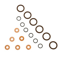 Load image into Gallery viewer, BD Diesel ISB Injector Seal Kit - Dodge 1998.5-2002 5.9L 24-valve Injection Pump Components BD Diesel
