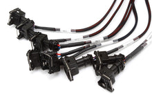 Load image into Gallery viewer, Haltech V8 Big/Small Block GM/Ford/Chrysler Elite 2000/2500 Terminated Harness w/EV1 Inj Connectors Wiring Harnesses Haltech   
