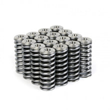 Load image into Gallery viewer, Skunk2 Alpha Series Honda/Acura D Series Valve Spring and Titanium Retainer Kit Valve Springs, Retainers Skunk2 Racing
