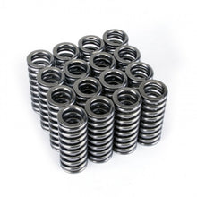 Load image into Gallery viewer, Skunk2 Alpha Series Honda D Series VTEC Valve Spring Set Valve Springs, Retainers Skunk2 Racing
