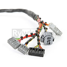 Load image into Gallery viewer, Rywire Honda B-Series Mil-Spec Eng Harness w/OBD2 Dist/Inj/Alt &amp; OBD1 92-95 ECU Plugs (Adapter Req) Wiring Harnesses Rywire
